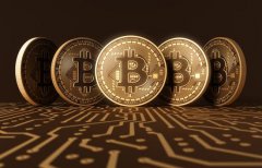 比特币创历史新高后暴跌 