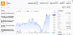 比特币“过山车”后再创