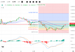 2025年11月10日比特币与以太 