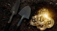 “BTC债券公司”成立欲收